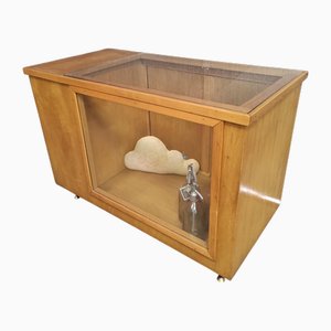 Ladentheken Vitrine, 1960er
