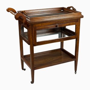 Antique Serving Trolley with Folding Side Panels and Removable Tray, 1920s