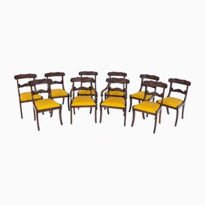Regency Dining Chairs in Mahogany, 1920s, Set of 10