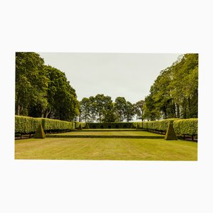 Guy Sargent, The Garden, Photograph