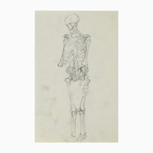 Józef Pieniążek, Sketch of the Human Skeletal System, 1920, Crayon