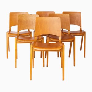 Chaises Empilables en Hêtre de Wilkhahn, Allemagne, 1970s, Set de 6