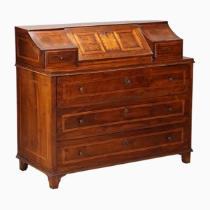 Antique 5-Drawer Flap Cabinet in Maple and Bronze, Italy, 19th Century