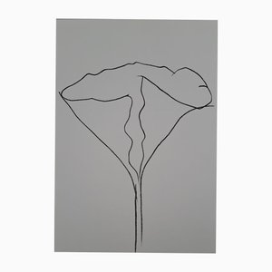 Ellsworth Kelly, The Lotus, Original Lithograph