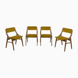 Ski Jumper Chairs from Zamojska, Poland, 1970s, Set of 4