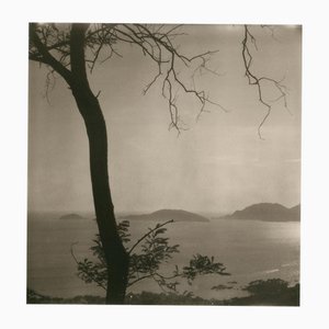 Ugne Pouwell, Lerici 255, 2025, Fotografie