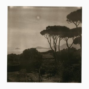 Ugne Pouwell, Lerici 256, 2025, Fotografie, Limitierte Auflage von 20
