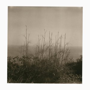 Ugne Pouwell, Lerici 257, 2025, Photographie, Édition Limitée de 20