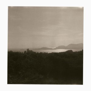 Ugne Pouwell, Lerici 252, 2025, Fotografie, Limitierte Auflage von 20