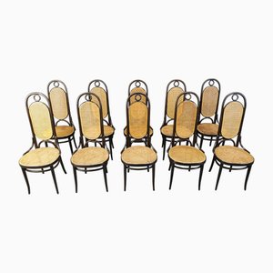 No. 207 Dining Chairs by Michael Thonet for Thonet, 1980s, Set of 8