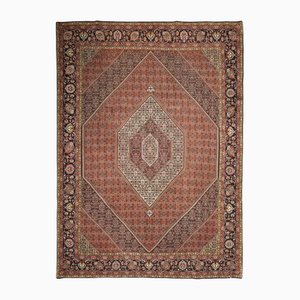 Bijar Hand-Knotted Rug in Virgin Wool