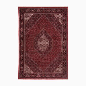 Middle Eastern Bijar Rug in Hand-Knotted Virgin Wool