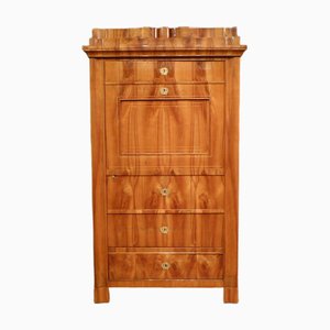 Biedermeier Cherry Wood Cabinet, 1850