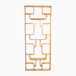 Vintage Room Divider by Ludvik Volak for Drevopodnik Holesov, 1950s