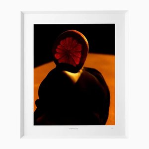 Philippe Vogelenzang, Vitamin Oral, Print, Framed