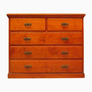Camphor Wooden Chest of Drawers, 1890s