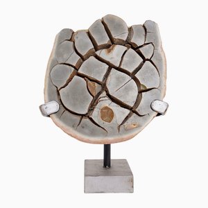 Septarian Nodule on Base