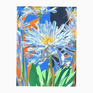 Ian Jones, Terrazzo Floras 5, Print