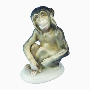 19th Century Porcelain Chimpanzee or Monkey Sculpture from Ernst Bohne & Sohne, Germany