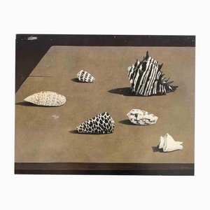 Gino Guida, Mesa con conchas, Pintura al óleo, años 80