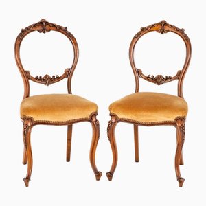 Set of Victorian Chairs in Walnut, 1860