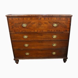 George III Secretary Bookcase in Mahogany, 1810