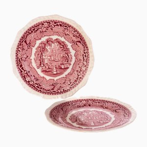 Antique Ceramic Vista Pattern Plates from Mason’s Ironstone, Set of 2