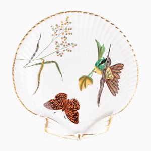Antique Earthenware Pottery Shell Dish from Wedgwood