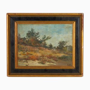 Artista belga, Paesaggio, Dipinto ad olio, Primi anni del 1900, Incorniciato