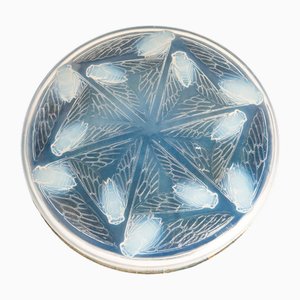 Cléones Box by René Lalique, 1921