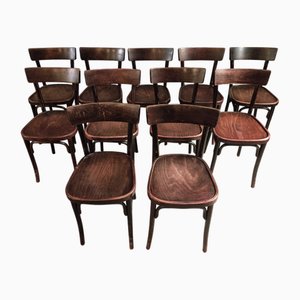 Vintage French Bistro Chairs in Beech, 1930s, Set of 11