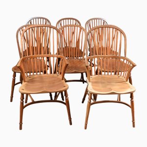 Windsor Chairs in Yew Wood, Set of 8