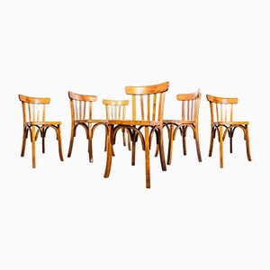 Vintage Honey Oak Dining Chairs, 1950s, Set of 6