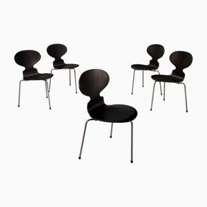 Ant Stühle von Arne Jacobsen für Fritz Hansen, 1970er, 5er Set