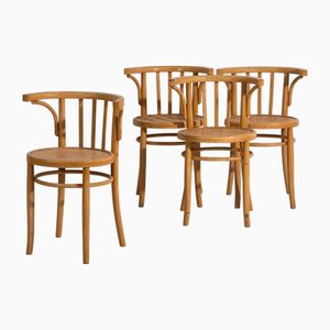 Vintage Chairs with Armrests, 1920, Set of 4