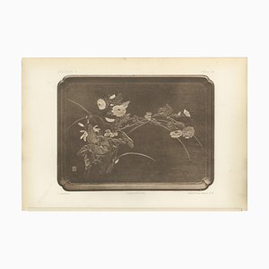 A Symphony of Nature, 1884, Paper