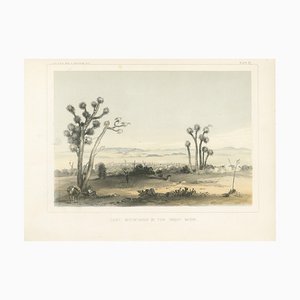 Lost Mountains in the Great Basin, 1856, Litographie auf Papier