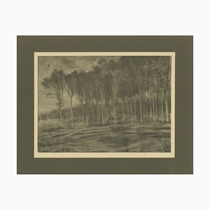 After Vincent Van Gogh, The Forest Edge, 1928, Portfolio Print