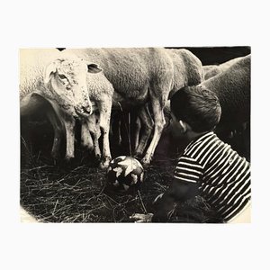 Robert Laporte, Rencontre, Photographie