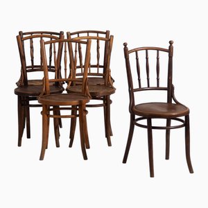 Sedie da pranzo vintage in legno curvato, 1920, set di 6