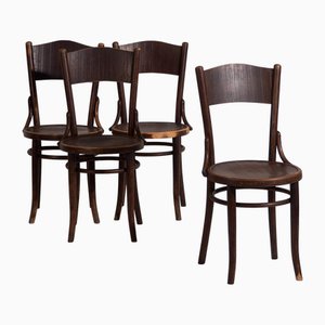Sedie vintage in legno curvato, 1920, set di 4