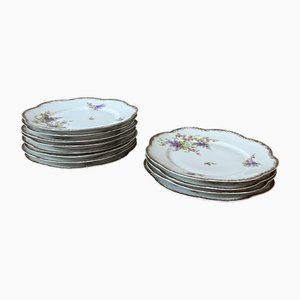 Vintage Porcelain Plates, 1950s, Set of 12