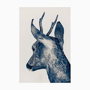 Guy Sargent, The Marais Blue, Print