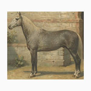 O. Eerelman, Algerian Horse, 1898, Paper