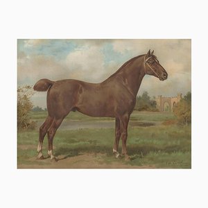 J. L. Goffart after O. Eerelman, Hackney Horse, 1898