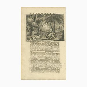 François Valentijn, Print of the Princess Taken by a Lion, 1726, Paper