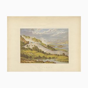 Picken, Pink and White Terraces New Zealand, 1877, Paper