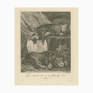 Cavalier, Deux Lions au Repos, 1738, Impression