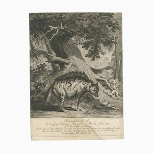 Ridinger, Indian Wolf, 1745, Paper