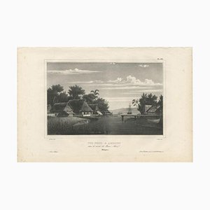Dumont Durville, Ambon Island, 1833, Paper